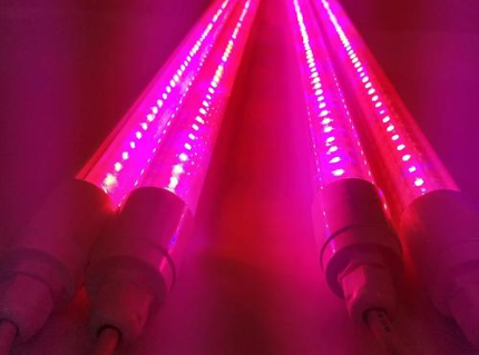 綰㈣摑鍏夌伅綆?png